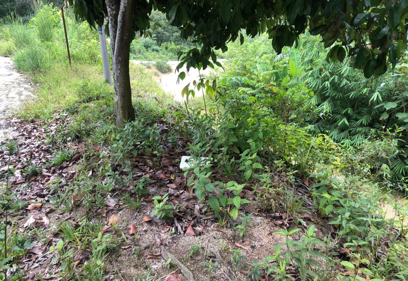 Hulu Langat Agricultural Land Sg Perdik