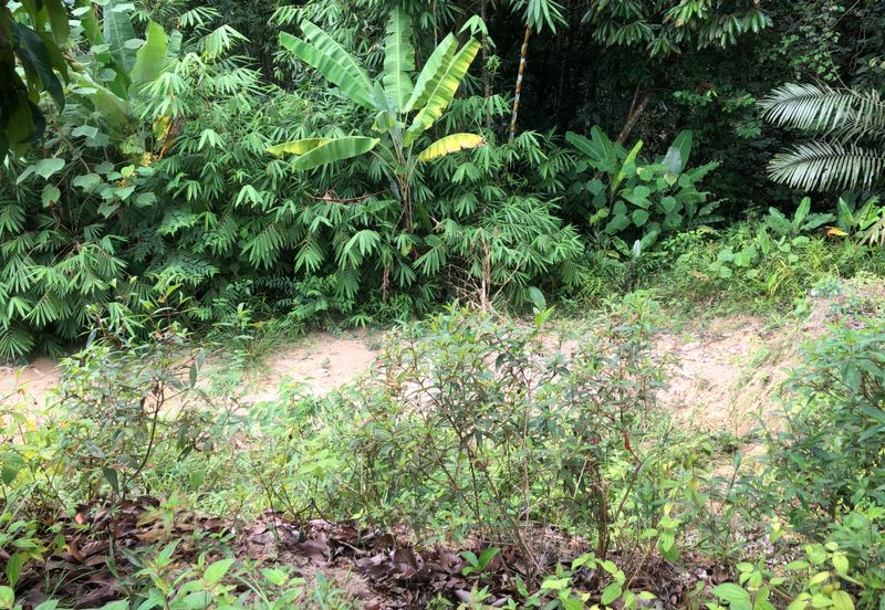 Hulu Langat Agricultural Land Sg Perdik