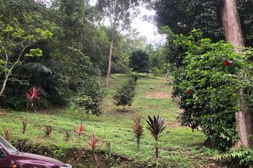 Hulu Langat Dusun Tua Batu 17 Agricultural Land