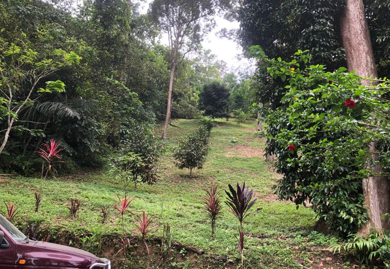 Hulu Langat Dusun Tua Batu 17 Agricultural Land