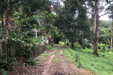 Hulu Langat Dusun Tua Batu 17 Agricultural Land