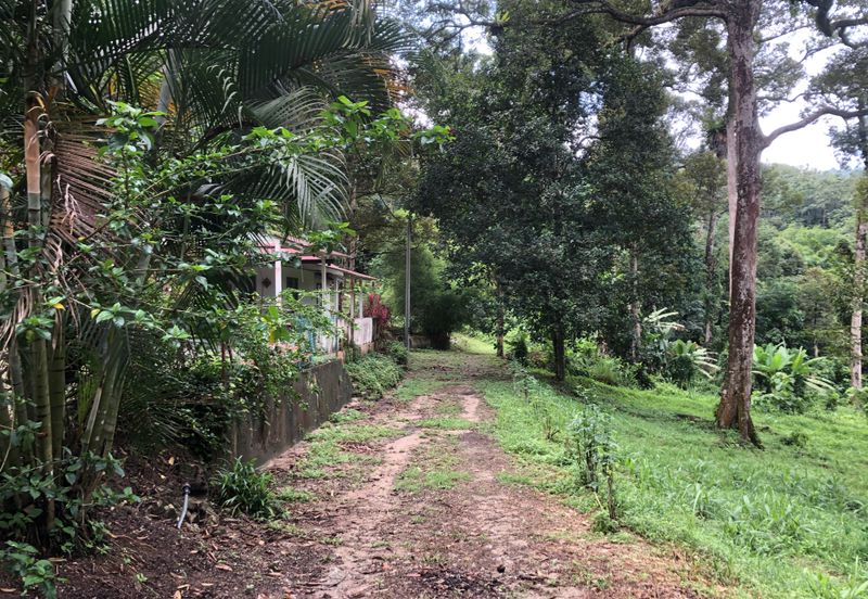 Hulu Langat Dusun Tua Batu 17 Agricultural Land