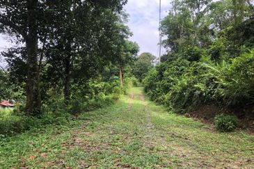 Hulu Langat Dusun Tua Batu 17 Agricultural Land