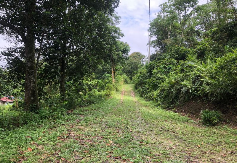 Hulu Langat Dusun Tua Batu 17 Agricultural Land