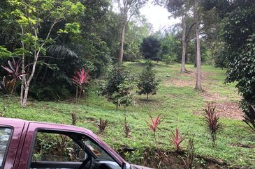 Hulu Langat Dusun Tua Batu 17 Agricultural Land