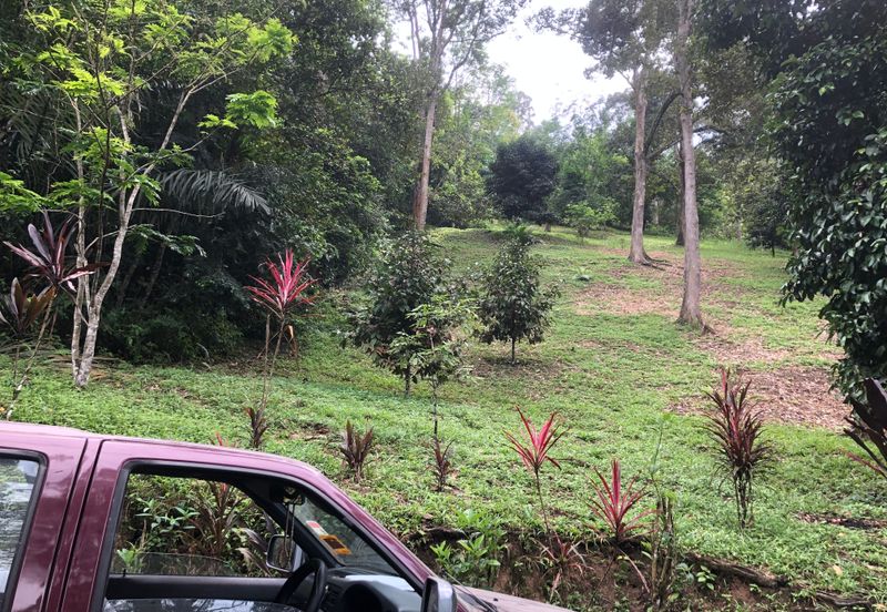 Hulu Langat Dusun Tua Batu 17 Agricultural Land