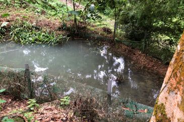 Hulu Langat Dusun Tua Batu 17 Agricultural Land