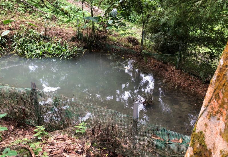 Hulu Langat Dusun Tua Batu 17 Agricultural Land