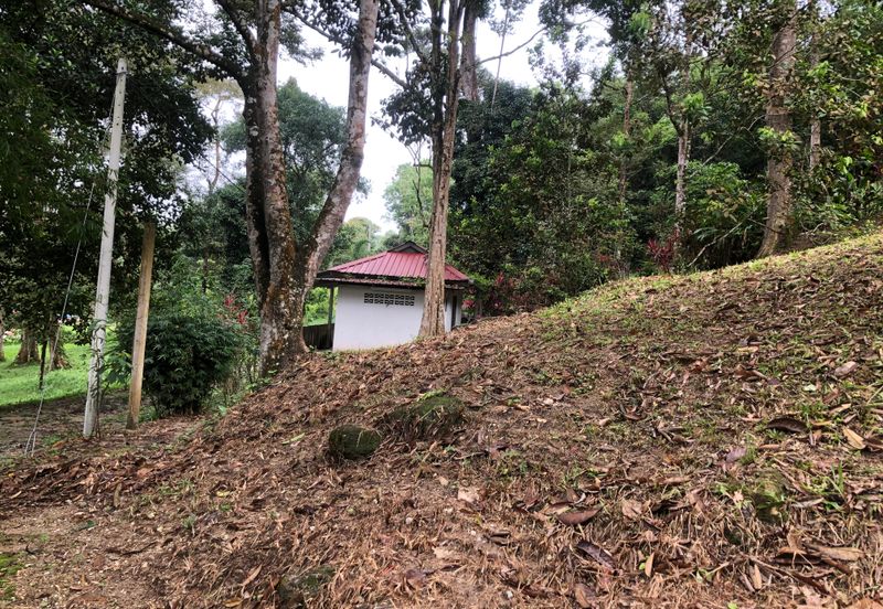 Hulu Langat Dusun Tua Batu 17 Agricultural Land