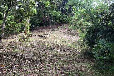 Hulu Langat Dusun Tua Batu 17 Agricultural Land