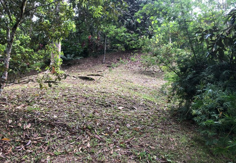 Hulu Langat Dusun Tua Batu 17 Agricultural Land