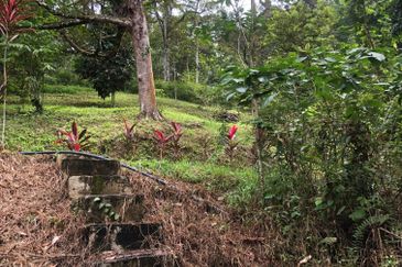 Hulu Langat Dusun Tua Batu 17 Agricultural Land