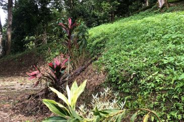 Hulu Langat Dusun Tua Batu 17 Agricultural Land