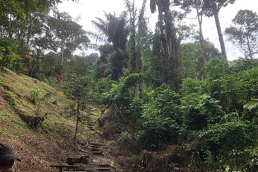 Hulu Langat Dusun Tua Batu 17 Agricultural Land