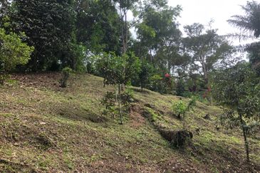 Hulu Langat Dusun Tua Batu 17 Agricultural Land
