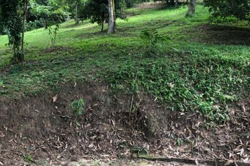 Hulu Langat Dusun Tua Batu 17 Agricultural Land