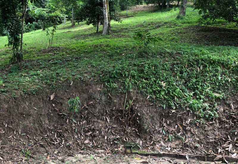 Hulu Langat Dusun Tua Batu 17 Agricultural Land