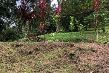 Hulu Langat Dusun Tua Batu 17 Agricultural Land