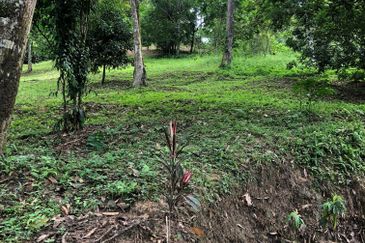 Hulu Langat Dusun Tua Batu 17 Agricultural Land
