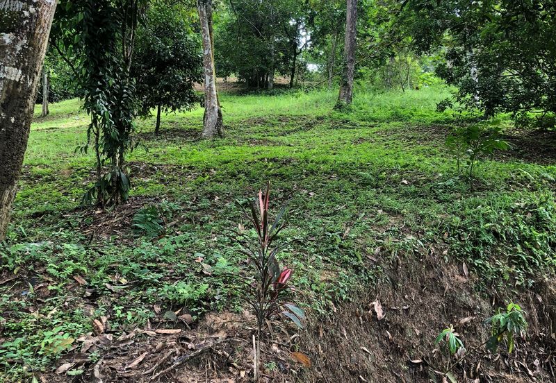 Hulu Langat Dusun Tua Batu 17 Agricultural Land