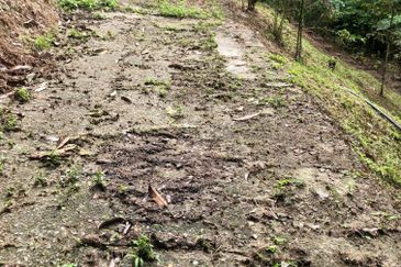 Hulu Langat Dusun Tua Batu 17 Agricultural Land