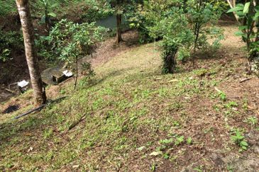 Hulu Langat Dusun Tua Batu 17 Agricultural Land