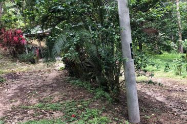 Hulu Langat Dusun Tua Batu 17 Agricultural Land