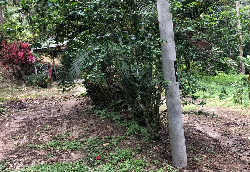Hulu Langat Dusun Tua Batu 17 Agricultural Land
