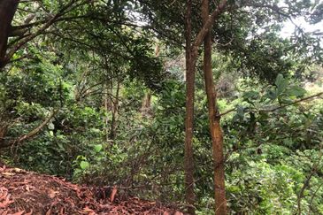 Bandar Baru Salak Tinggi