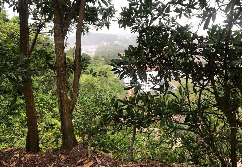 Bandar Baru Salak Tinggi