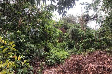 Bandar Baru Salak Tinggi