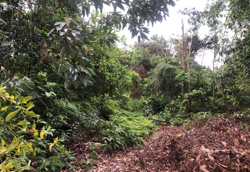 Bandar Baru Salak Tinggi