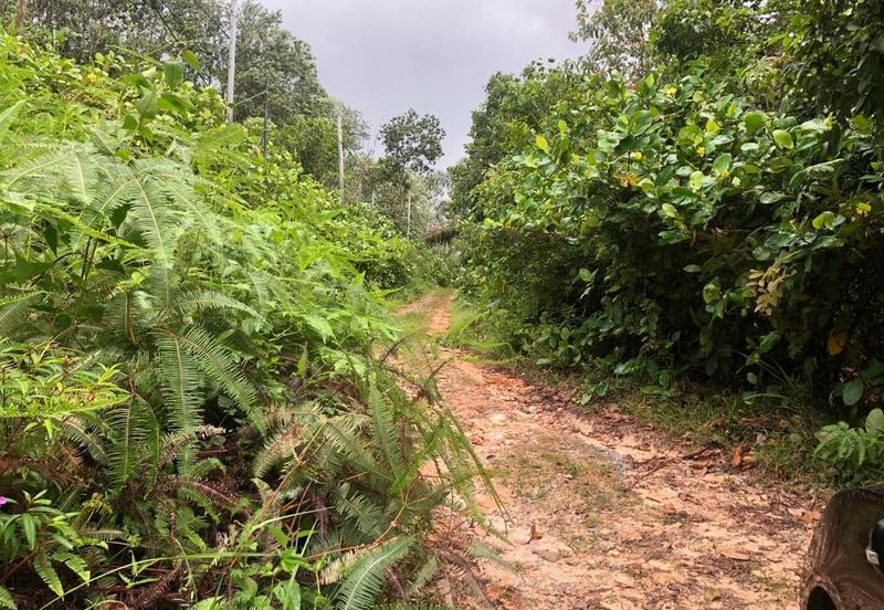Bandar Baru Salak Tinggi