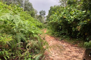 Bandar Baru Salak Tinggi
