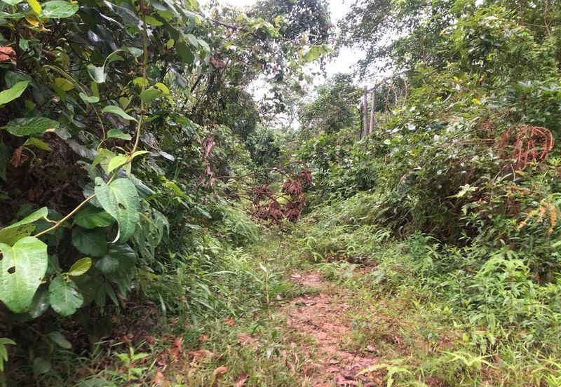 Bandar Baru Salak Tinggi