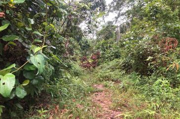Bandar Baru Salak Tinggi