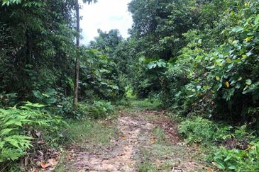 Bandar Baru Salak Tinggi