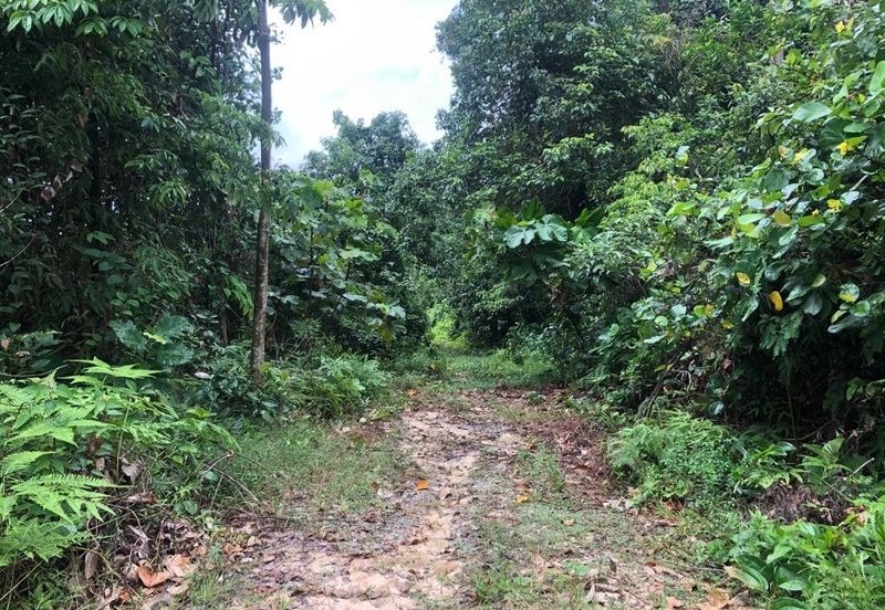 Bandar Baru Salak Tinggi