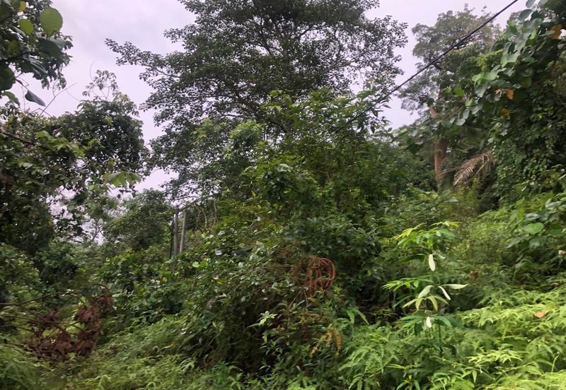 Bandar Baru Salak Tinggi