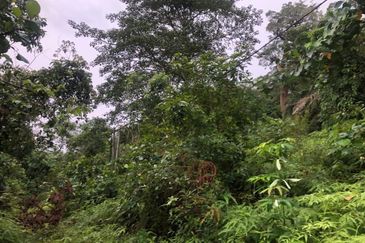 Bandar Baru Salak Tinggi