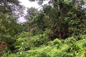 Bandar Baru Salak Tinggi