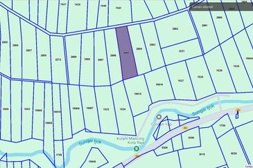 Agricultural Land Jalan Redang Kg Masjid Kg Ayer Gelugor Batu Kurau Perak