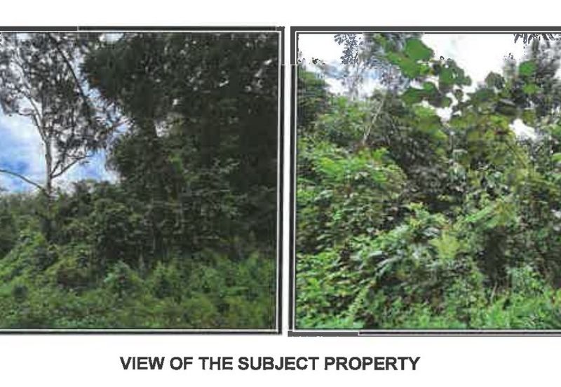 Agricultural Land Jalan Redang Kg Masjid Kg Ayer Gelugor Batu Kurau Perak