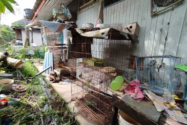 Kuala Terengganu Golf Resort