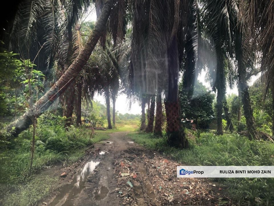 Lot Banglo Kg Bahagia Sungai Manik Teluk Intan, Perak, Hilir Perak