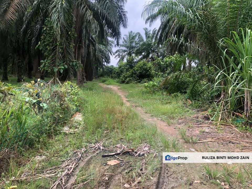 Lot Banglo Kg Bahagia Sungai Manik Teluk Intan, Perak, Hilir Perak