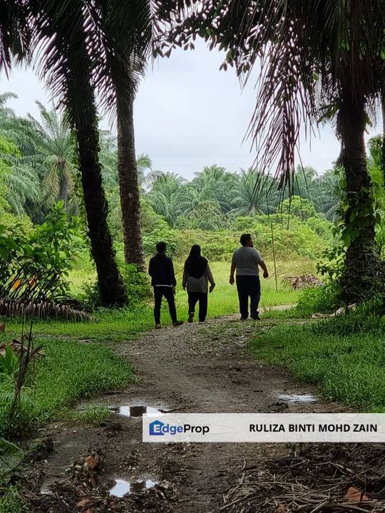 Lot Banglo Kg Bahagia Sungai Manik Teluk Intan, Perak, Hilir Perak