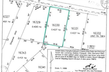 Agricultural Land Bangi Dengkil with potential development