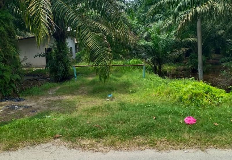 Sungai Sedu @ Tanjung Dua Belas