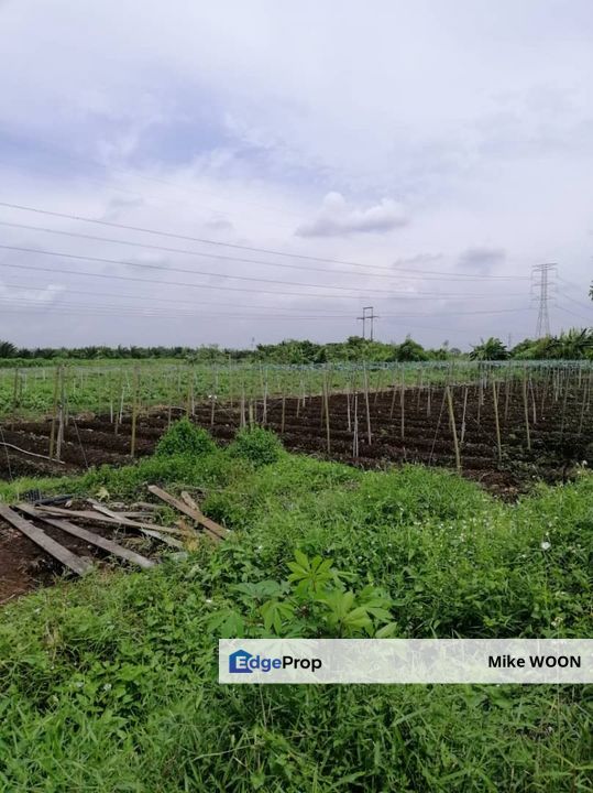 1 Acre Agricultural Land For Rent, Selangor, Klang